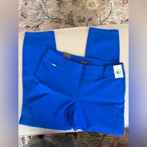 The Limited Women's Blue Pants